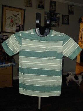wonder nation Green & Cream Striped Pocket Tee